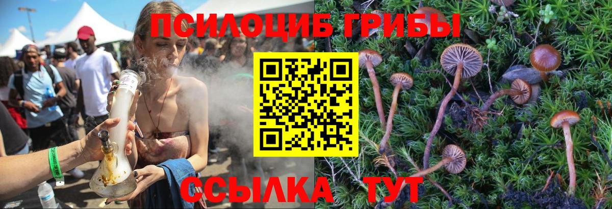 Псилоцибиновые грибы мицелий Ковров